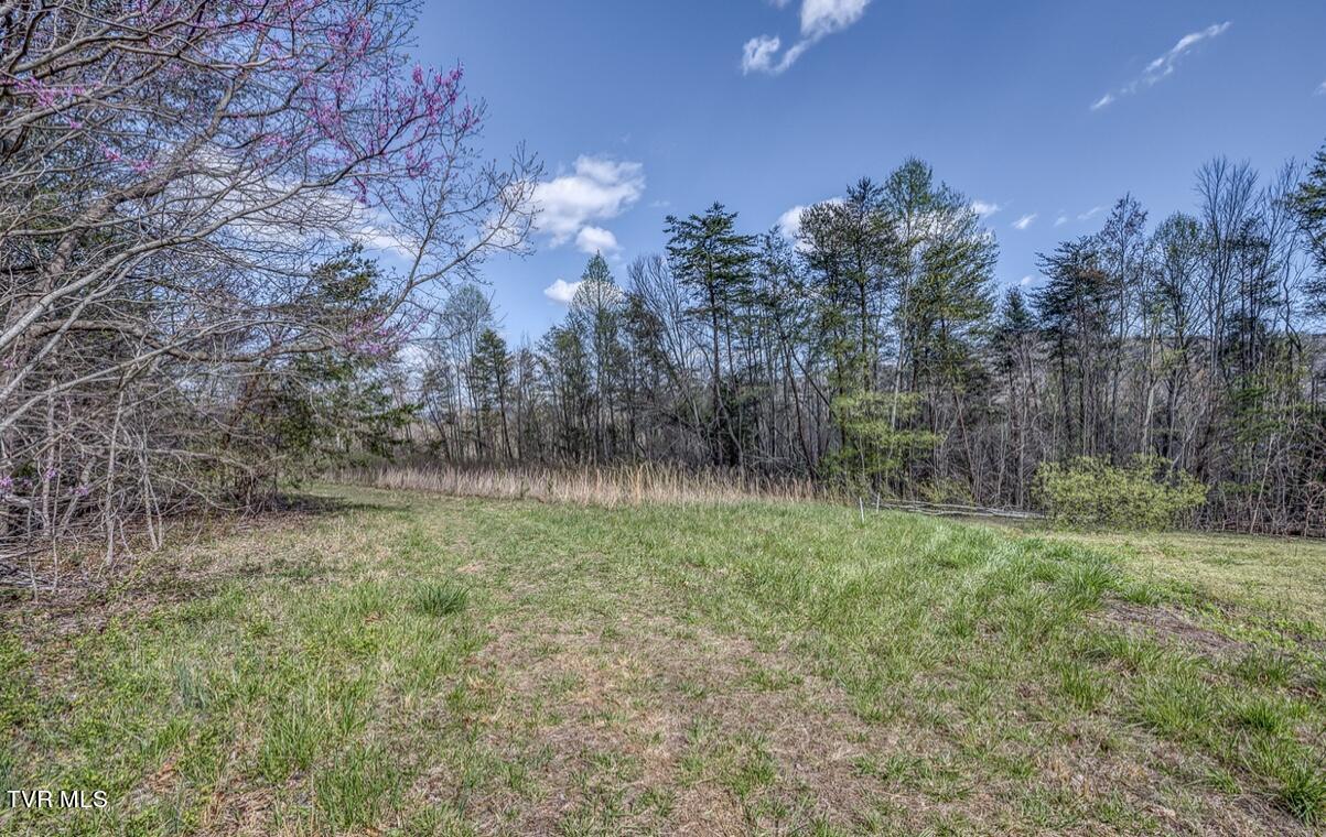 Tbd Little Cassi Creek Road Chuckey, TN 37641 - Photo 13 of 24 IMG_7619