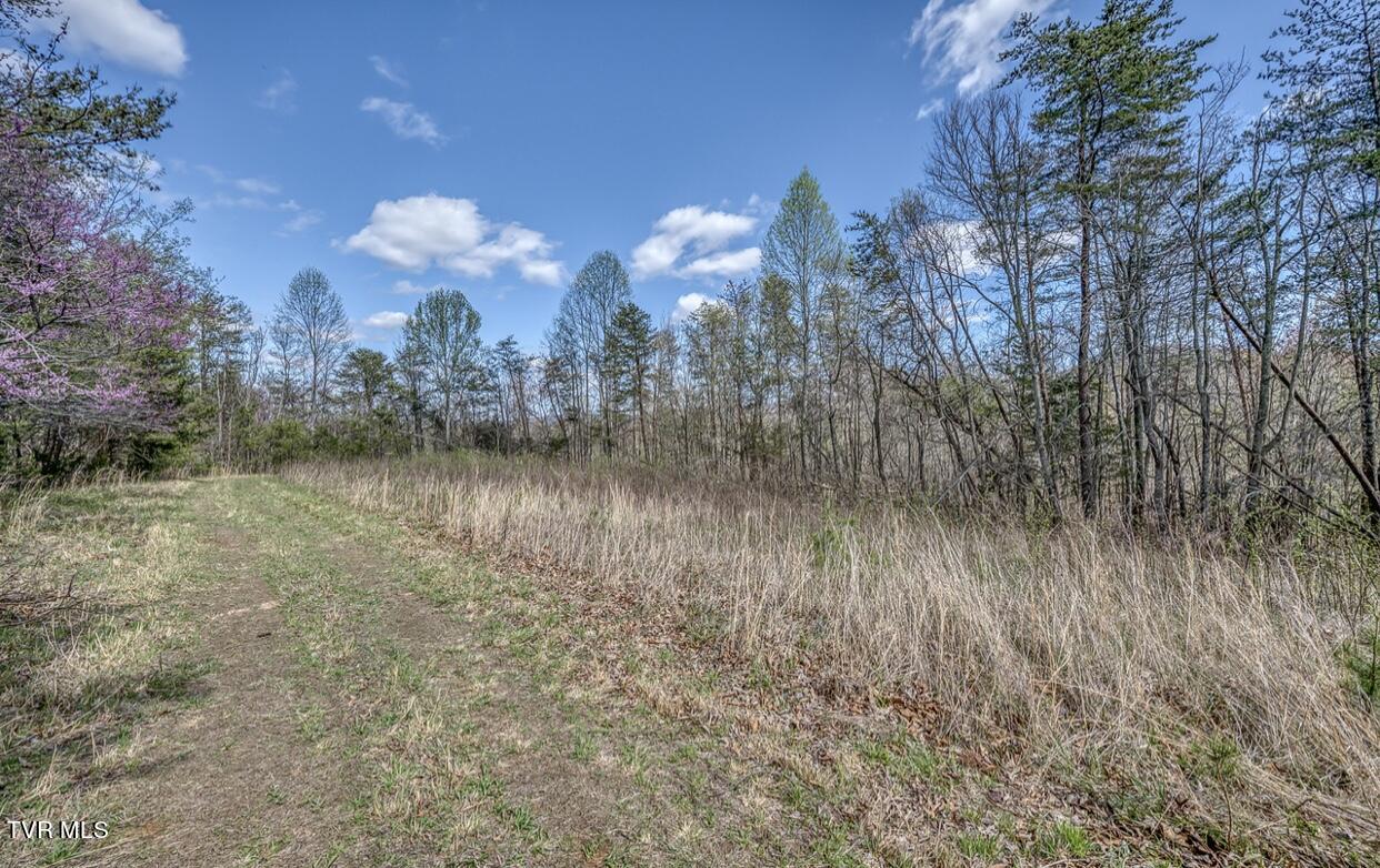 Tbd Little Cassi Creek Road Chuckey, TN 37641 - Photo 14 of 24 IMG_7620