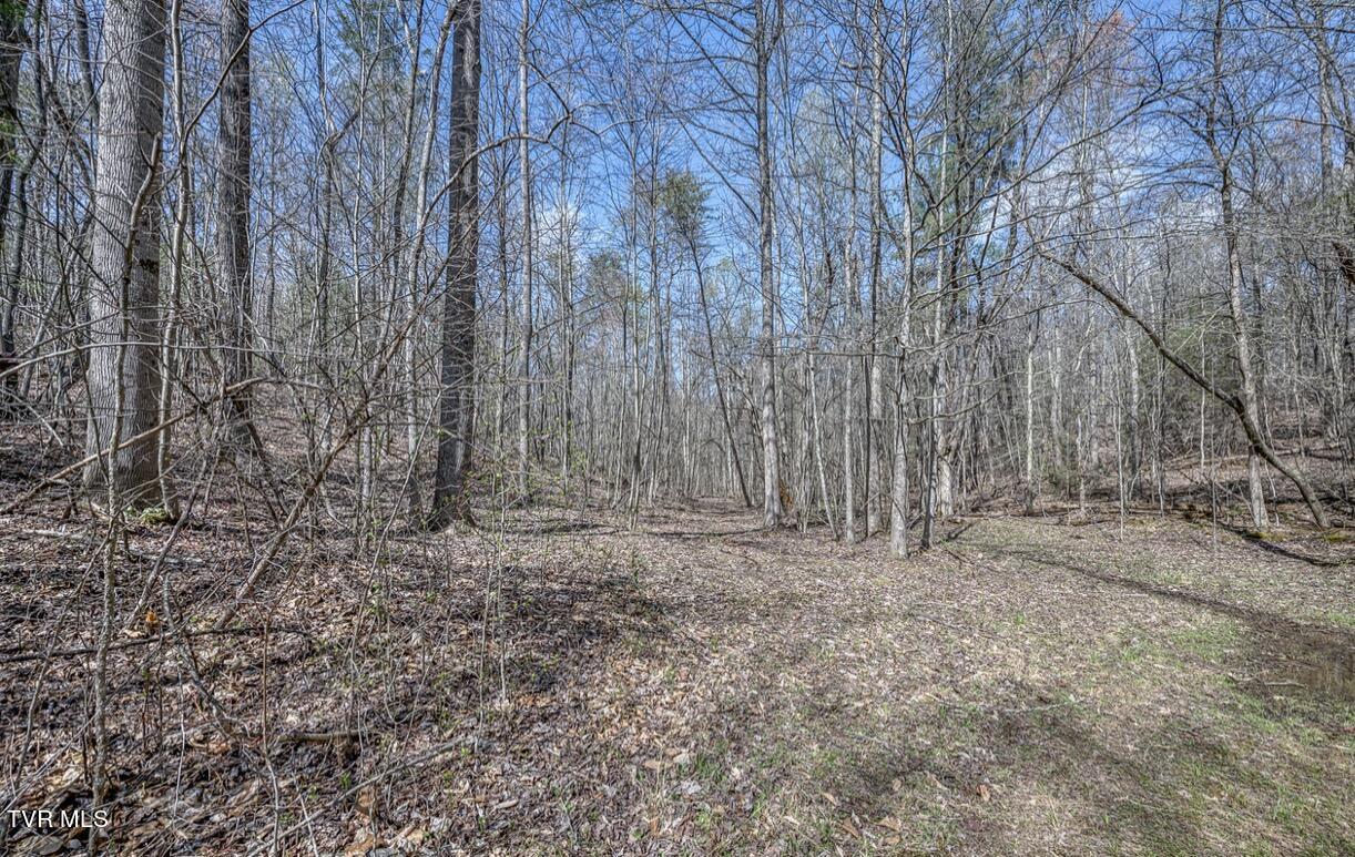 Tbd Little Cassi Creek Road Chuckey, TN 37641 - Photo 18 of 24 IMG_7623
