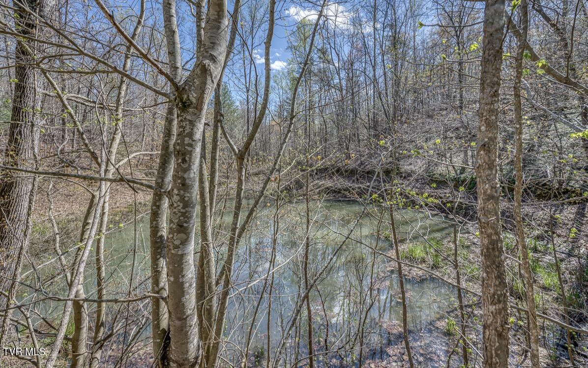 Tbd Little Cassi Creek Road Chuckey, TN 37641 - Photo 20 of 24 IMG_7627