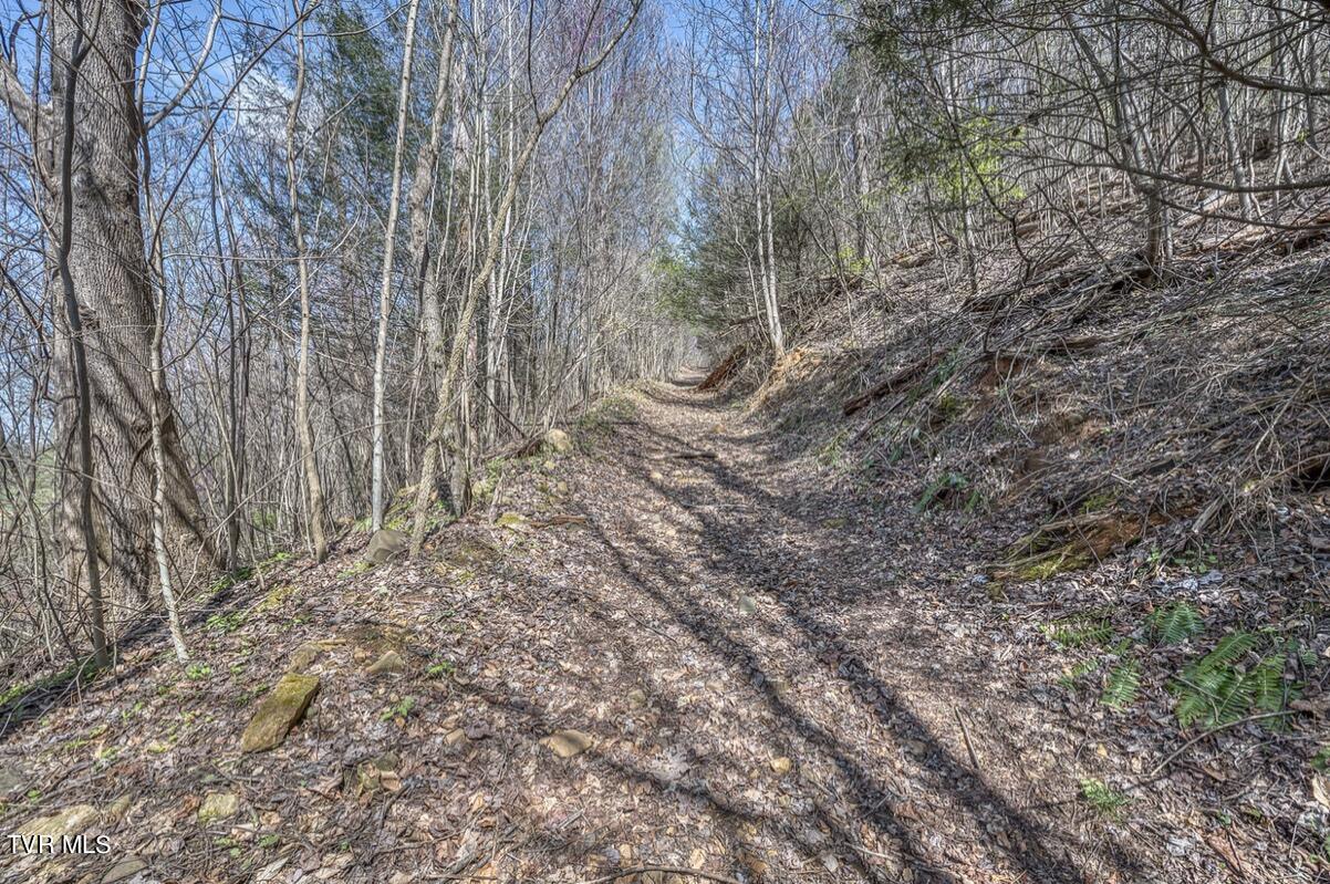 Tbd Little Cassi Creek Road Chuckey, TN 37641 - Photo 2 of 24 IMG_7611