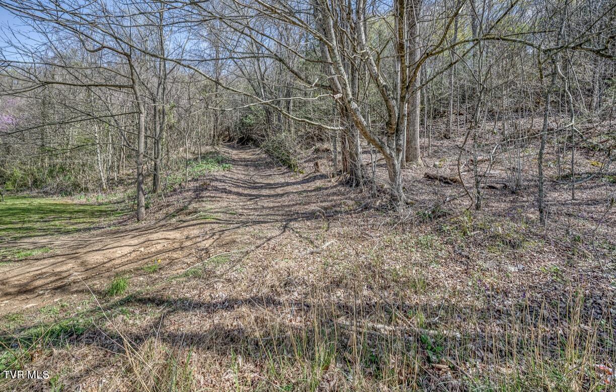 Tbd Little Cassi Creek Road Chuckey, TN 37641 - Photo 3 of 24 IMG_7610