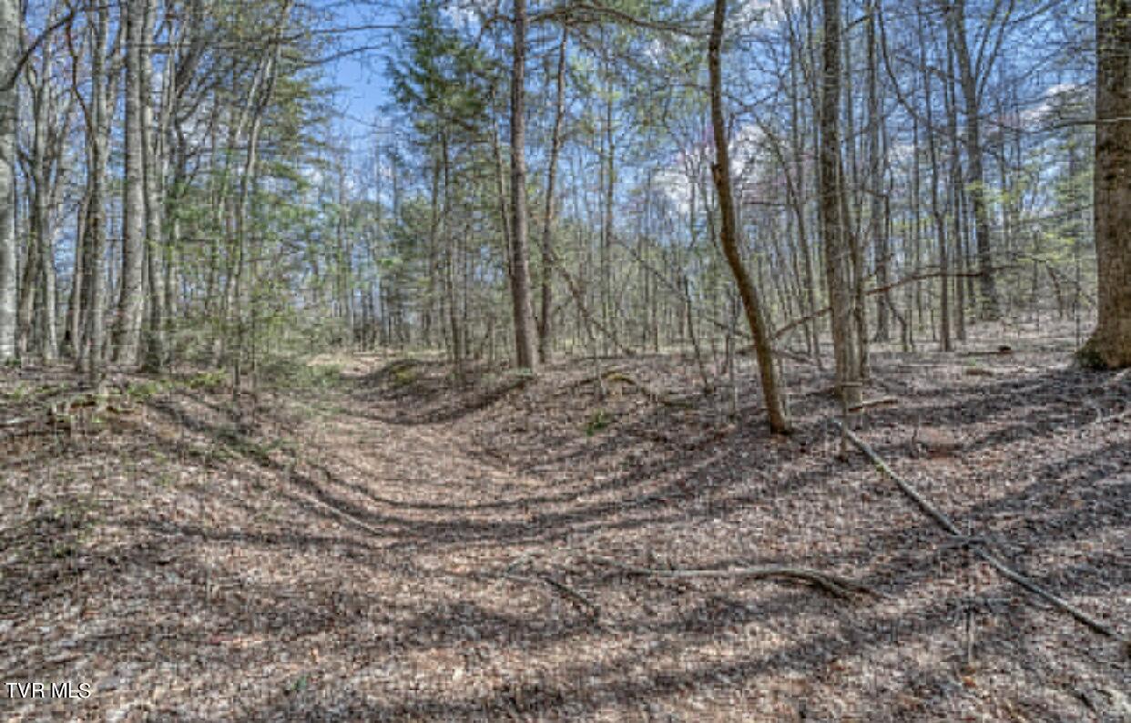 Tbd Little Cassi Creek Road Chuckey, TN 37641 - Photo 4 of 24 IMG_7615