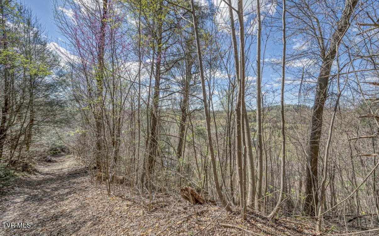 Tbd Little Cassi Creek Road Chuckey, TN 37641 - Photo 5 of 24 IMG_7613