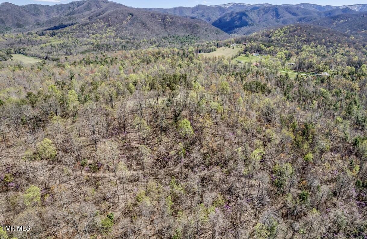 Tbd Little Cassi Creek Road Chuckey, TN 37641 - Photo 6 of 24 IMG_7609