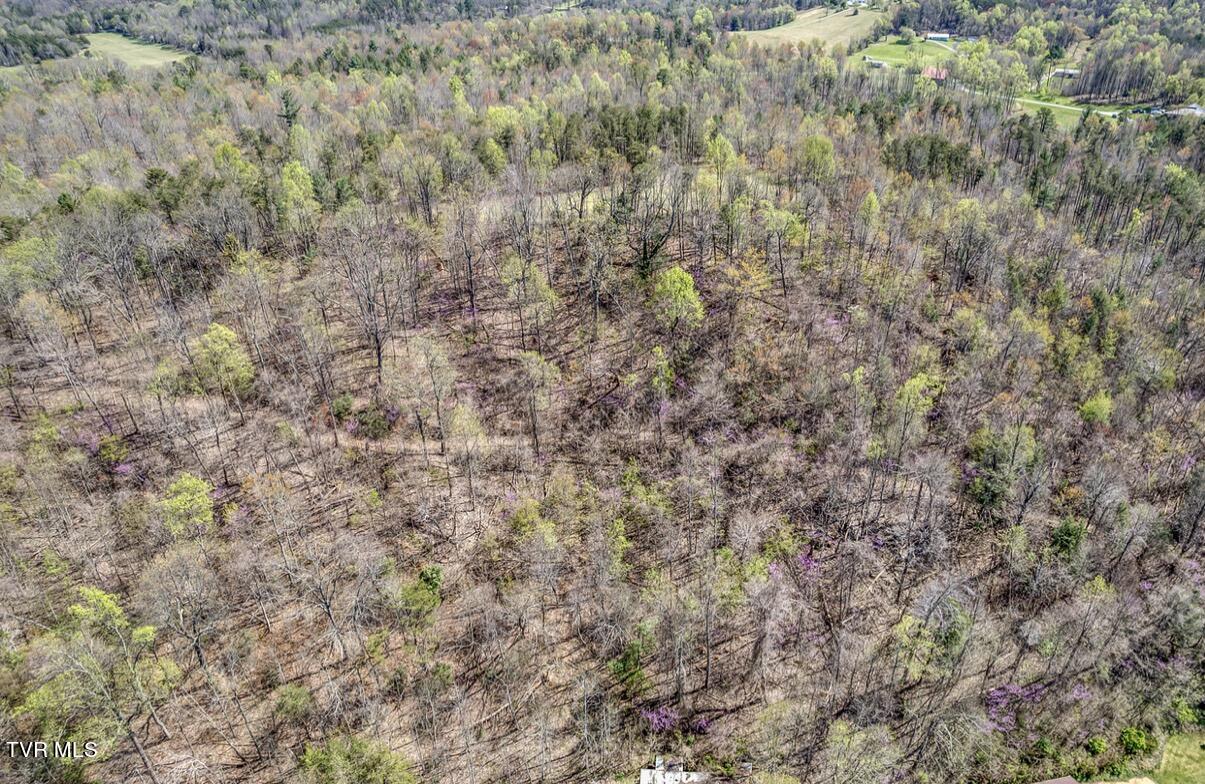 Tbd Little Cassi Creek Road Chuckey, TN 37641 - Photo 7 of 24 IMG_7608