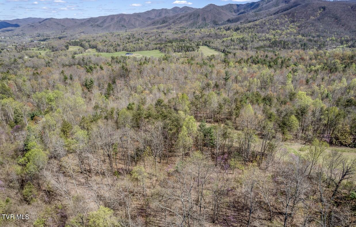 Tbd Little Cassi Creek Road Chuckey, TN 37641 - Photo 10 of 24 IMG_7604