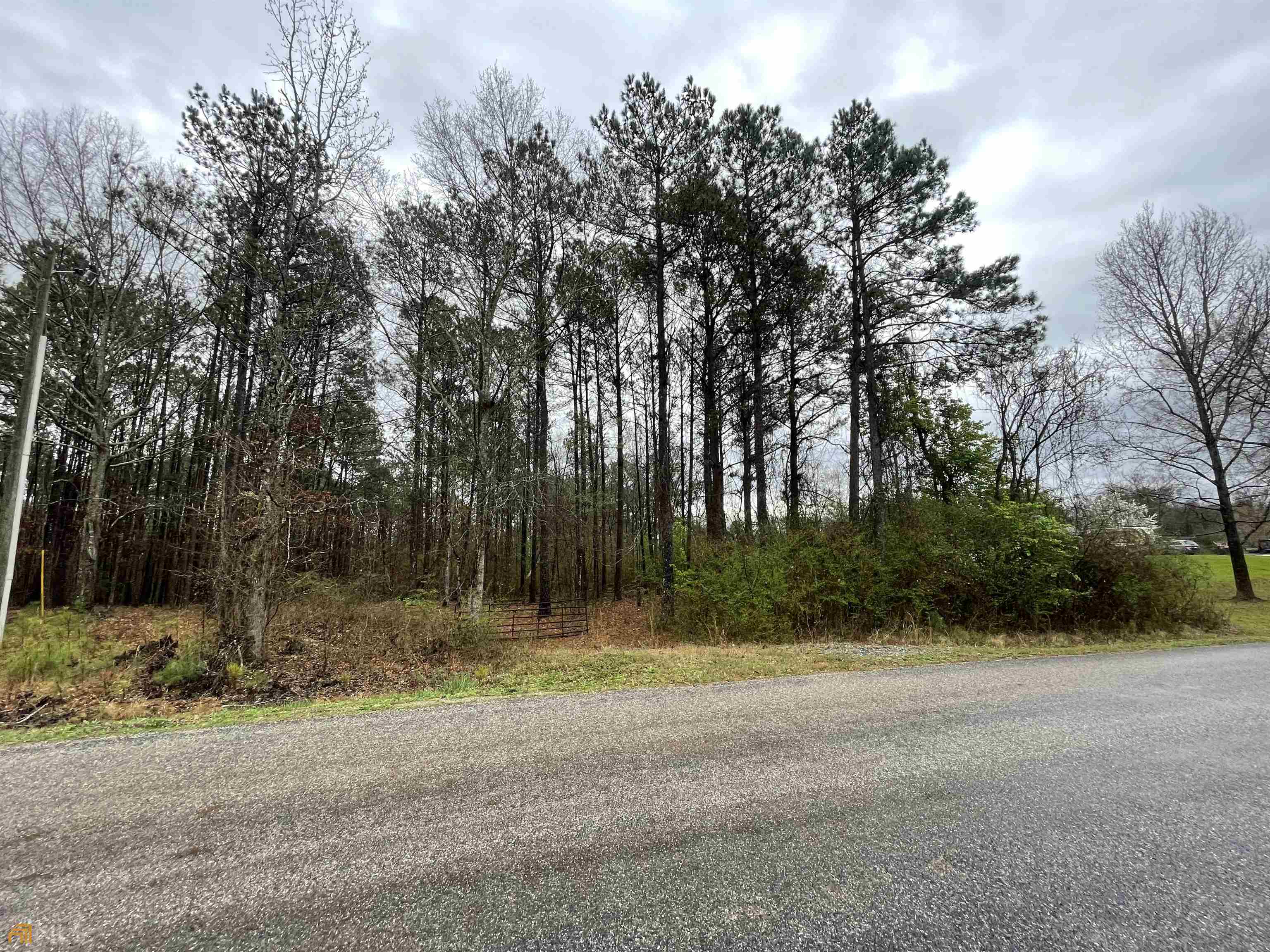 0 Riley Road Jackson, GA 30233 - Photo 1 of 1 Gallery Image 1