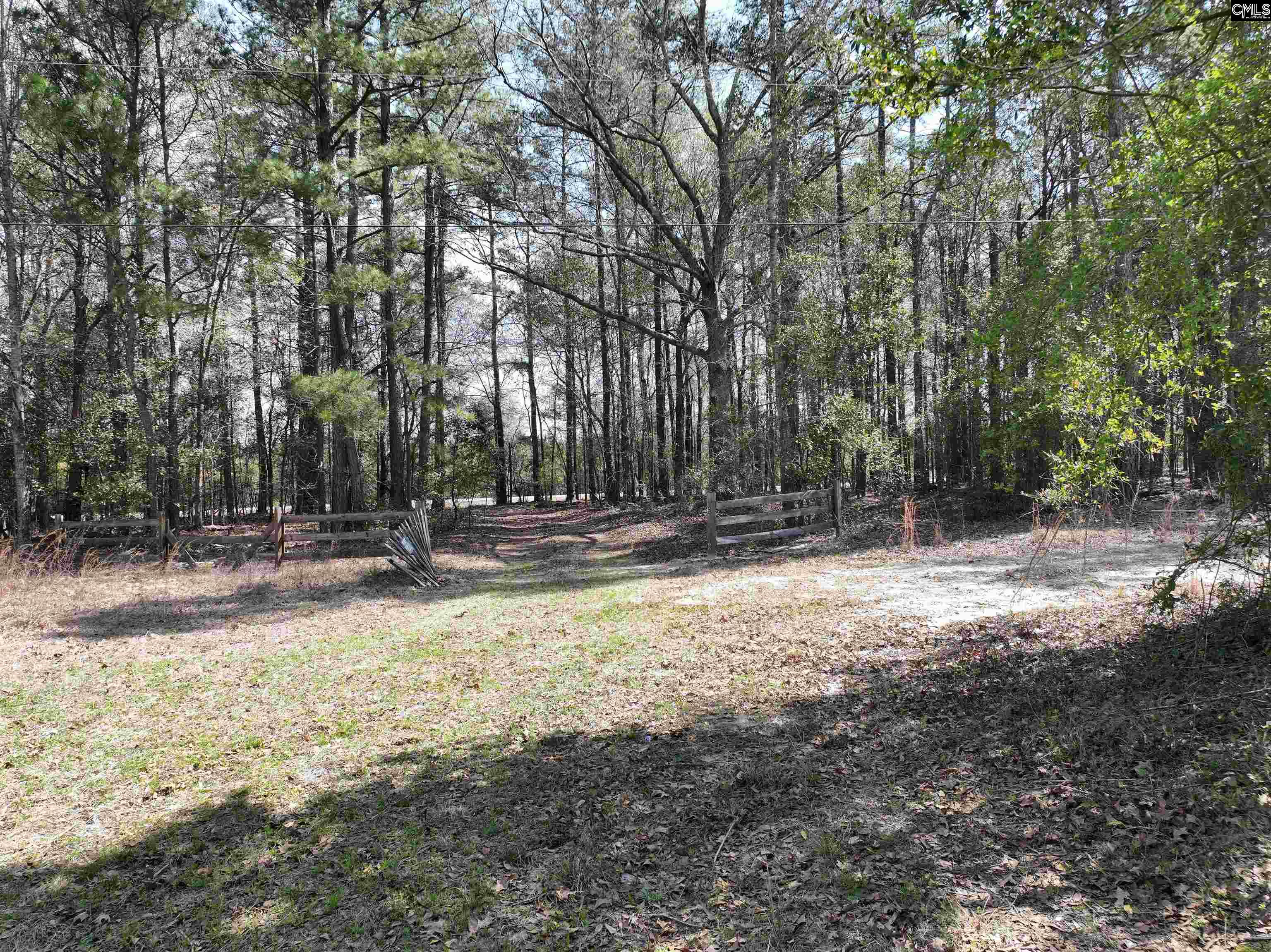 0 Dr Boylston Road Salley, SC 29137 - Photo 14 of 41