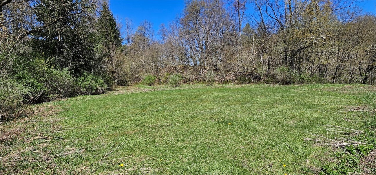 1720 County Route 12 De Ruyter, NY 13052 - Photo 40 of 49
