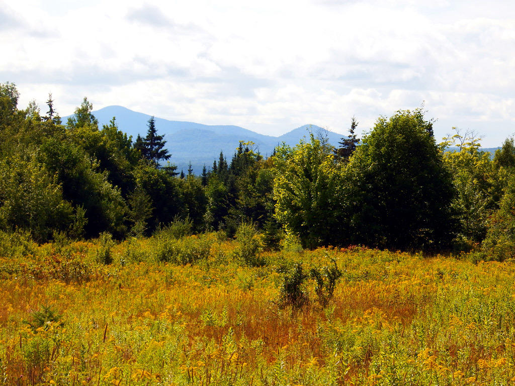 L-9-11c12 Clark Road Merrill, ME 04780 - Photo 8 of 40 new-merrill-land-18