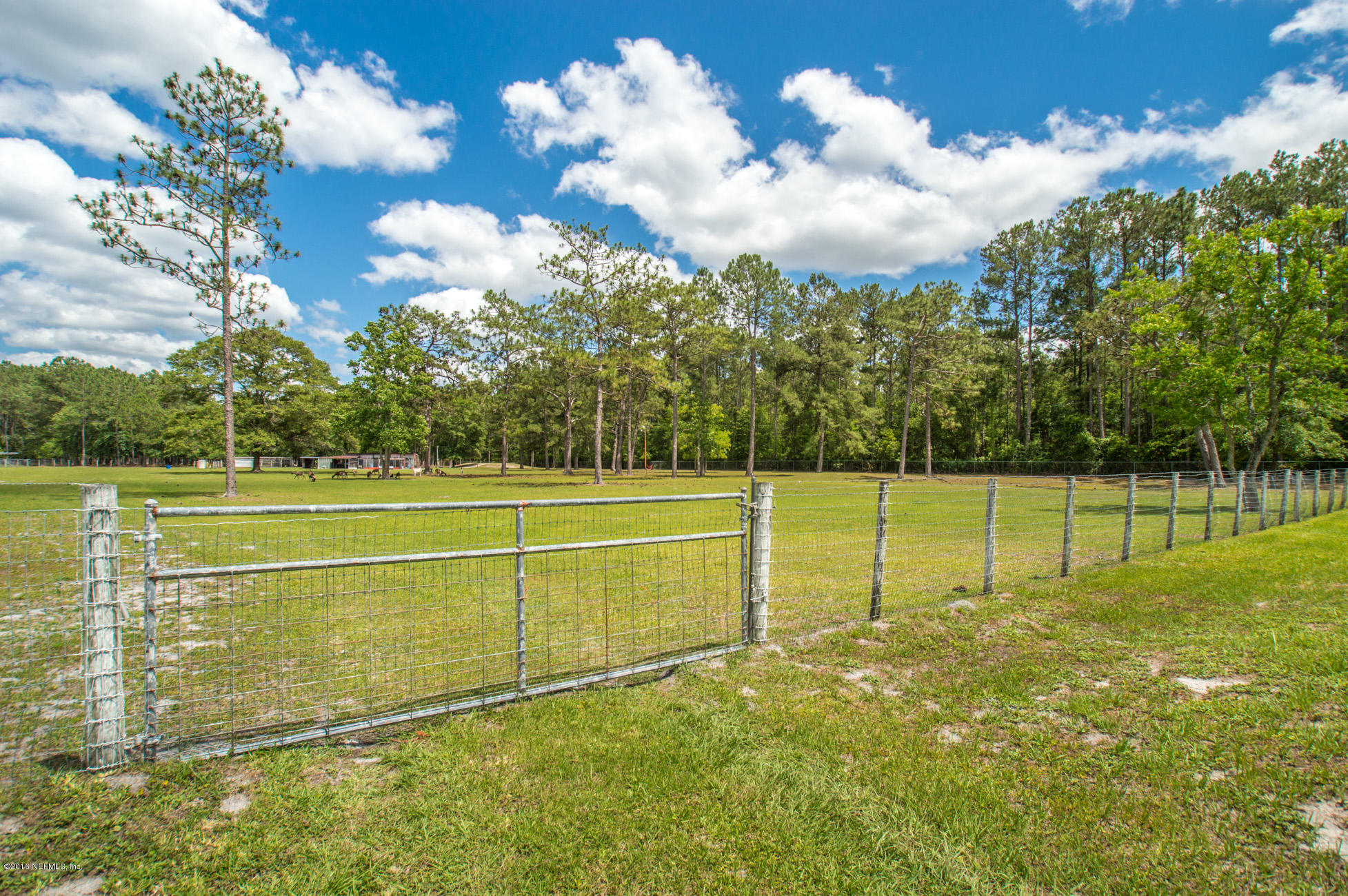 1805 Nolan Road Middleburg, FL 32068 - Photo 1 of 55 Gates