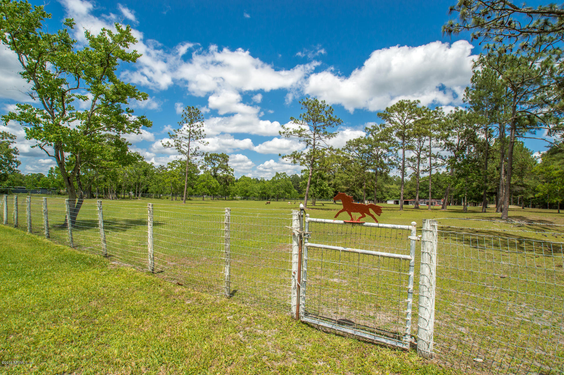 1805 Nolan Road Middleburg, FL 32068 - Photo 45 of 55 Gate