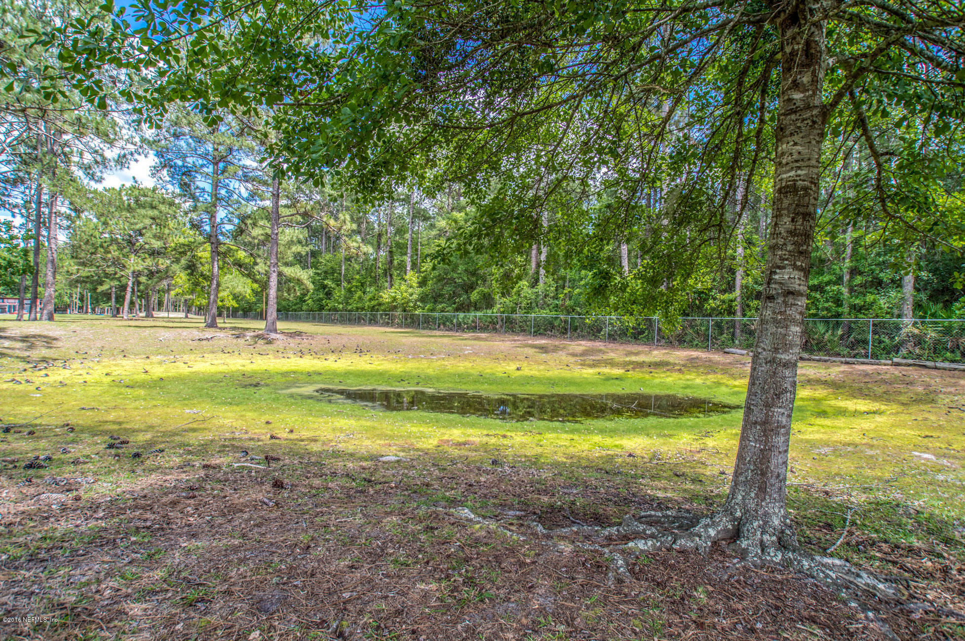 1805 Nolan Road Middleburg, FL 32068 - Photo 47 of 55 Pond