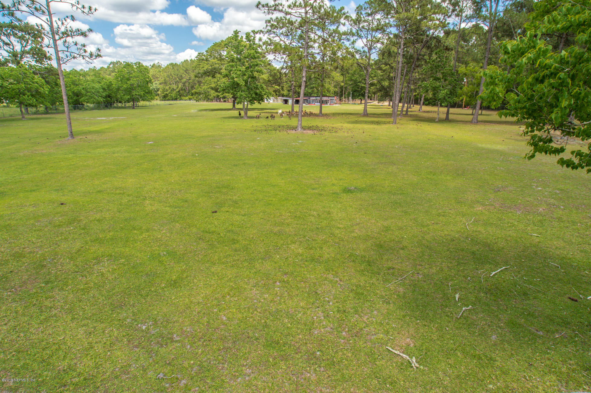 1805 Nolan Road Middleburg, FL 32068 - Photo 5 of 55 Green Pasture