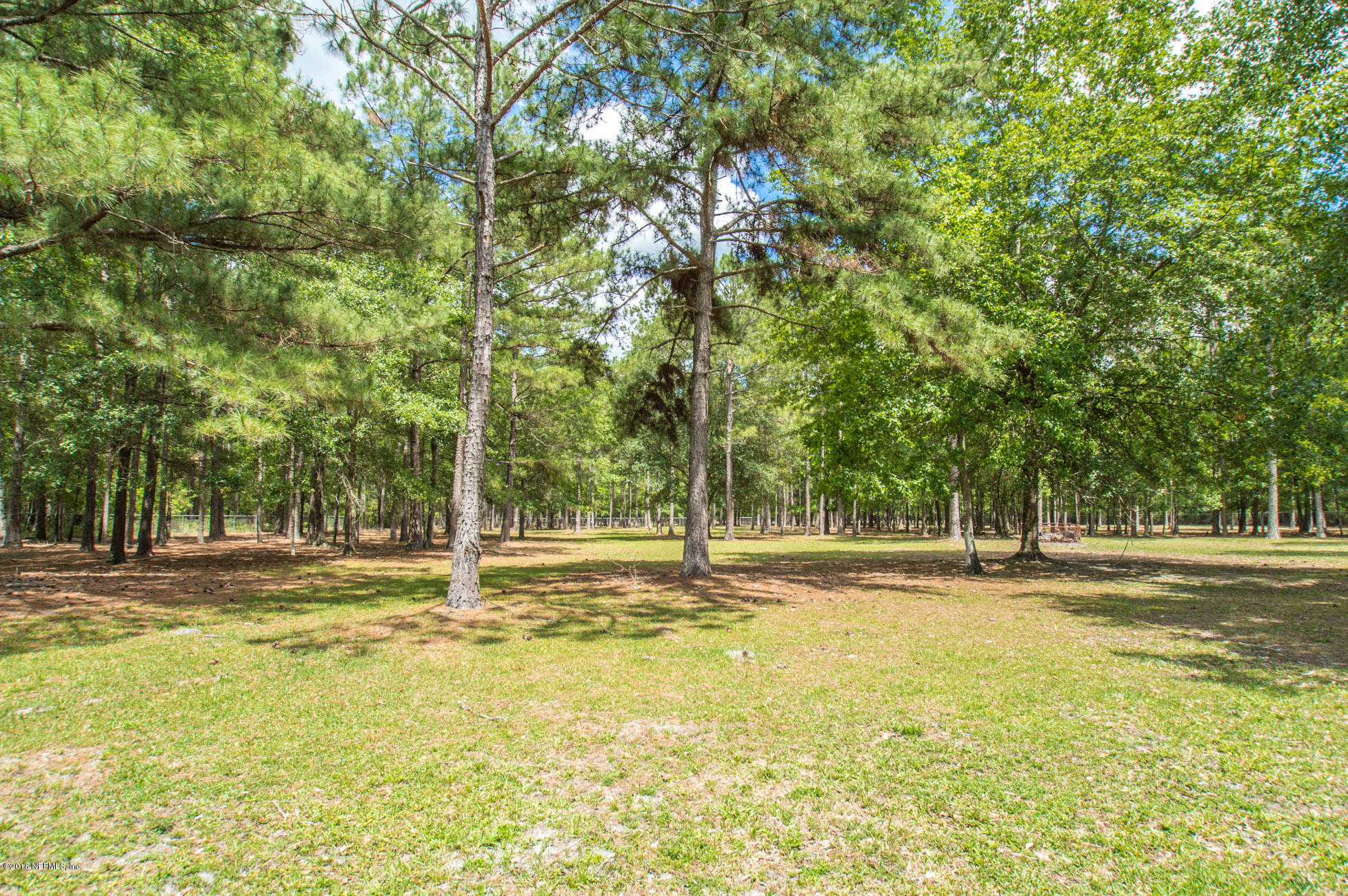 1805 Nolan Road Middleburg, FL 32068 - Photo 10 of 55 Beautiful Pastures