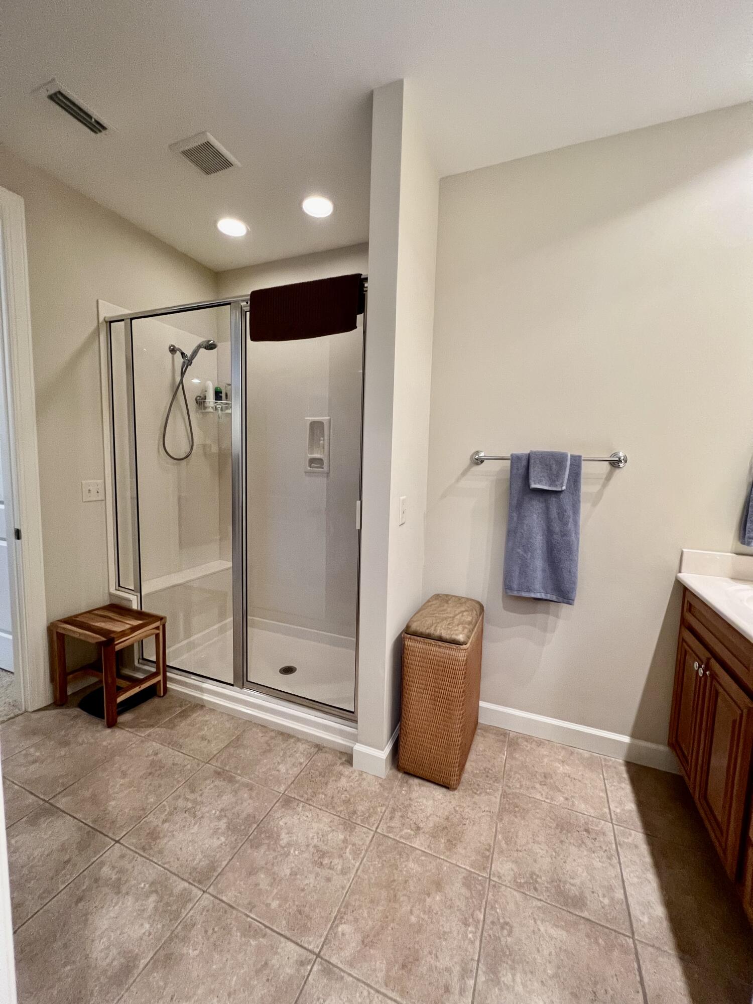 4248 Skipjack Cove Niceville, FL 32578 - Photo 46 of 64 Shower