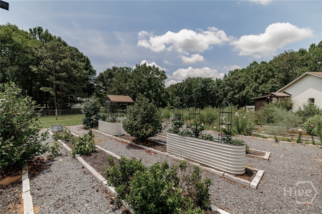 1111 Hale Road Watkinsville, GA 30677 - Photo 51 of 74