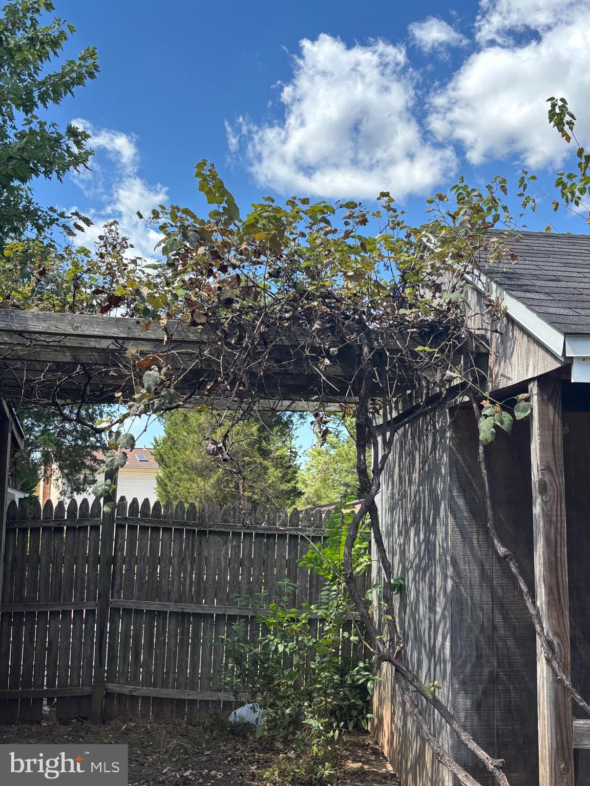 8310 Rolling Road Manassas, VA 20110 - Photo 48 of 58 Concord & Pink Seedless Grapevines -Backyard