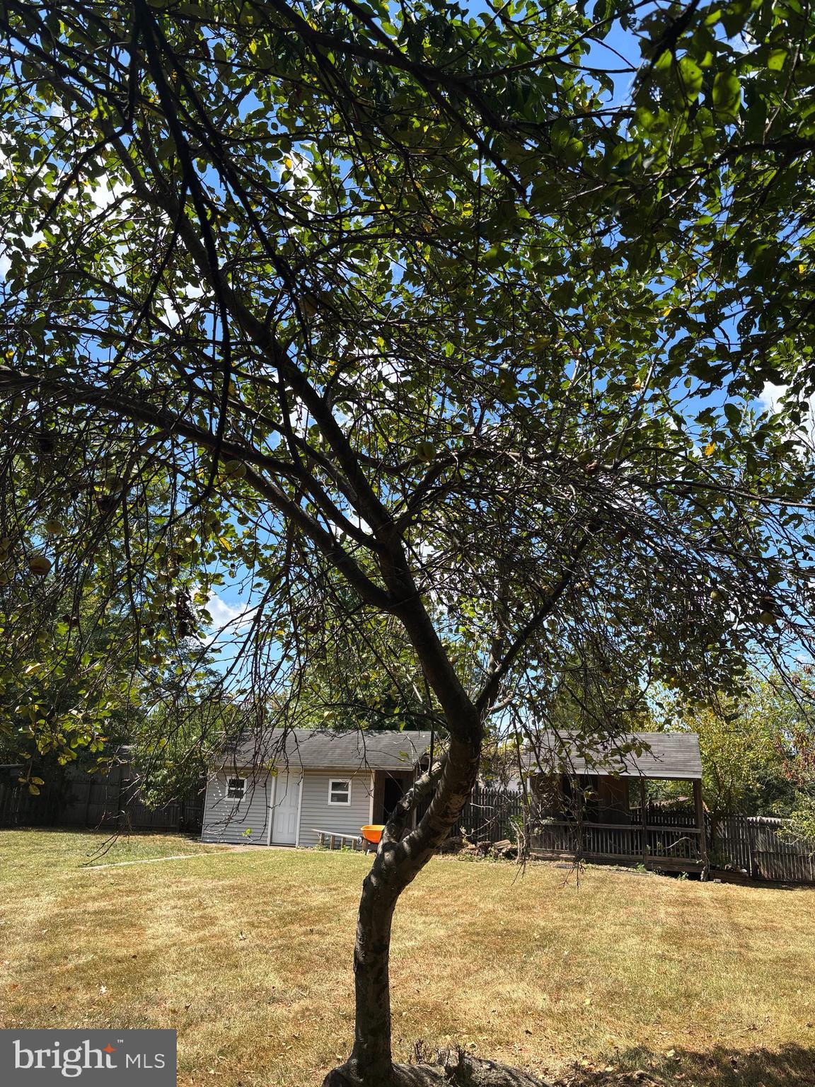 8310 Rolling Road Manassas, VA 20110 - Photo 50 of 58 a view of a house with snow on the tree