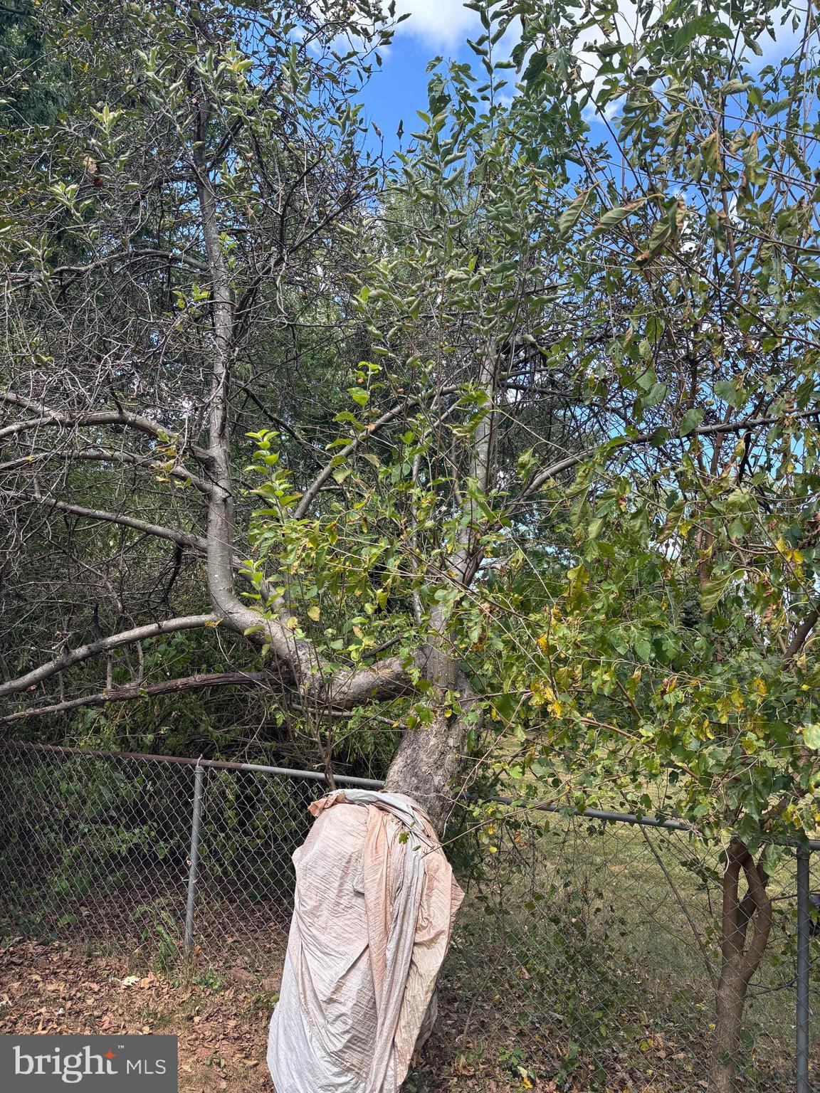 8310 Rolling Road Manassas, VA 20110 - Photo 51 of 58 a bathroom with a toilet and a shower