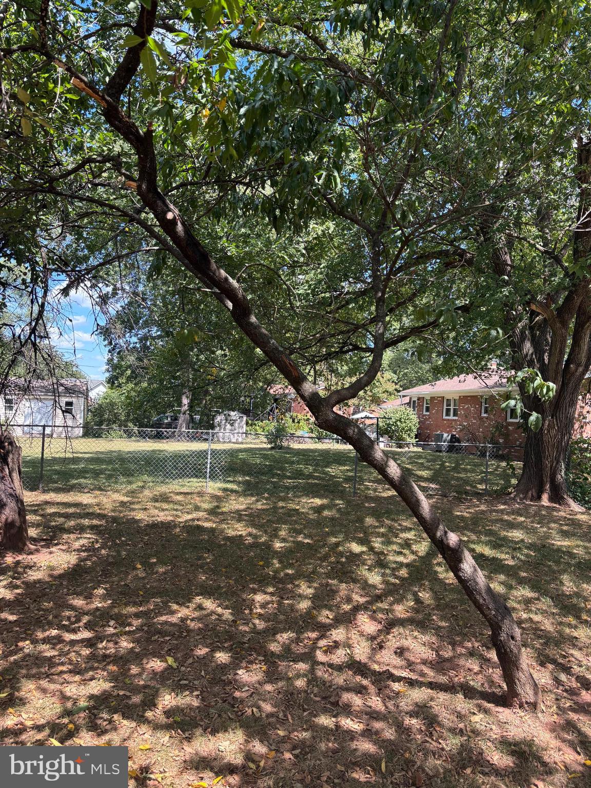 8310 Rolling Road Manassas, VA 20110 - Photo 53 of 58 a view of a tree in the middle of a yard