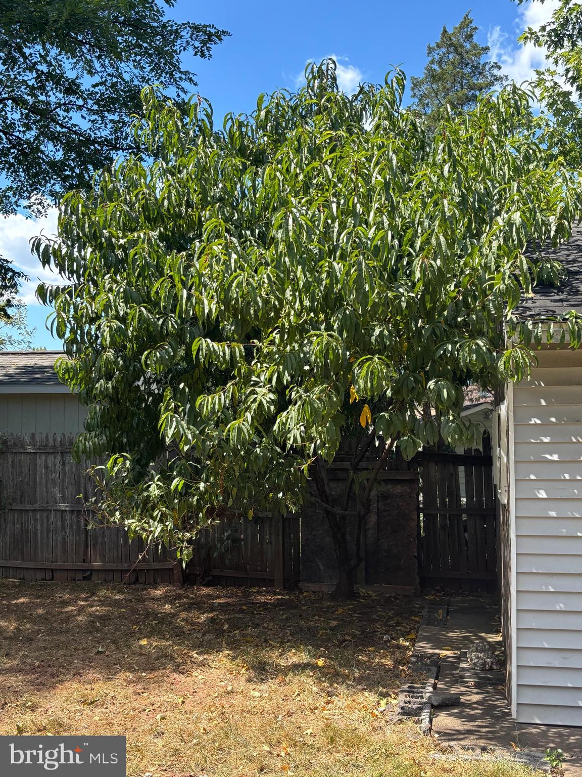 8310 Rolling Road Manassas, VA 20110 - Photo 54 of 58 a view of a yard with plants and large trees