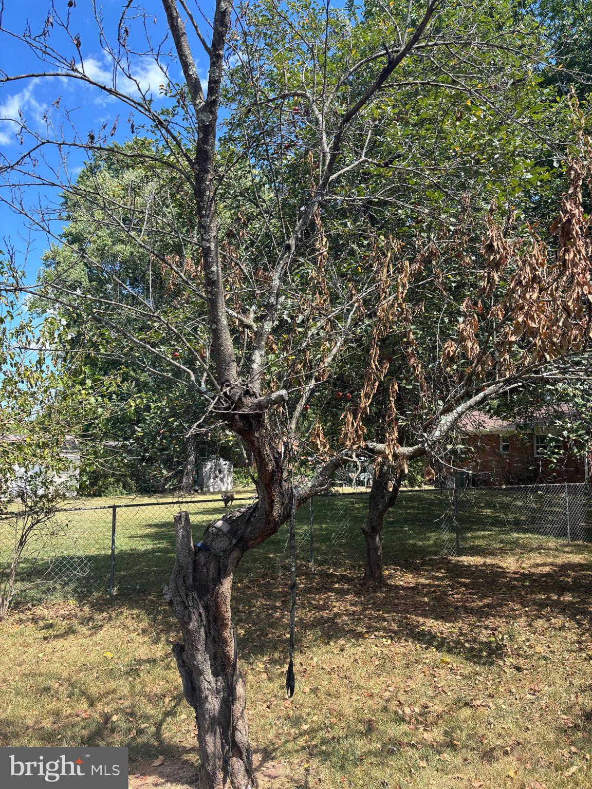 8310 Rolling Road Manassas, VA 20110 - Photo 56 of 58 a view of a yard
