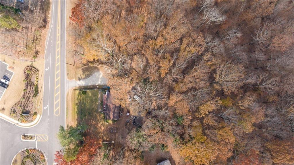 2626 White Sulphur Road Gainesville, GA 30501 - Photo 8 of 20 a close up of a plant in a bathroom