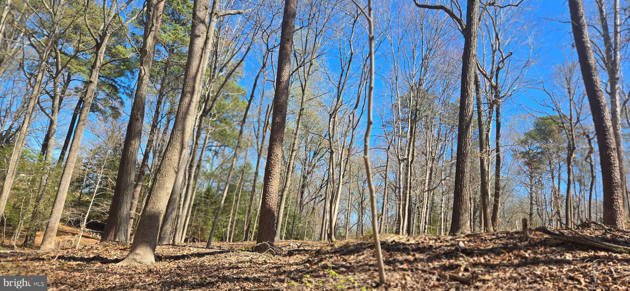 43732 Raspberry Lane Hollywood, MD 20636 - Photo 53 of 63 Gallery Image 53