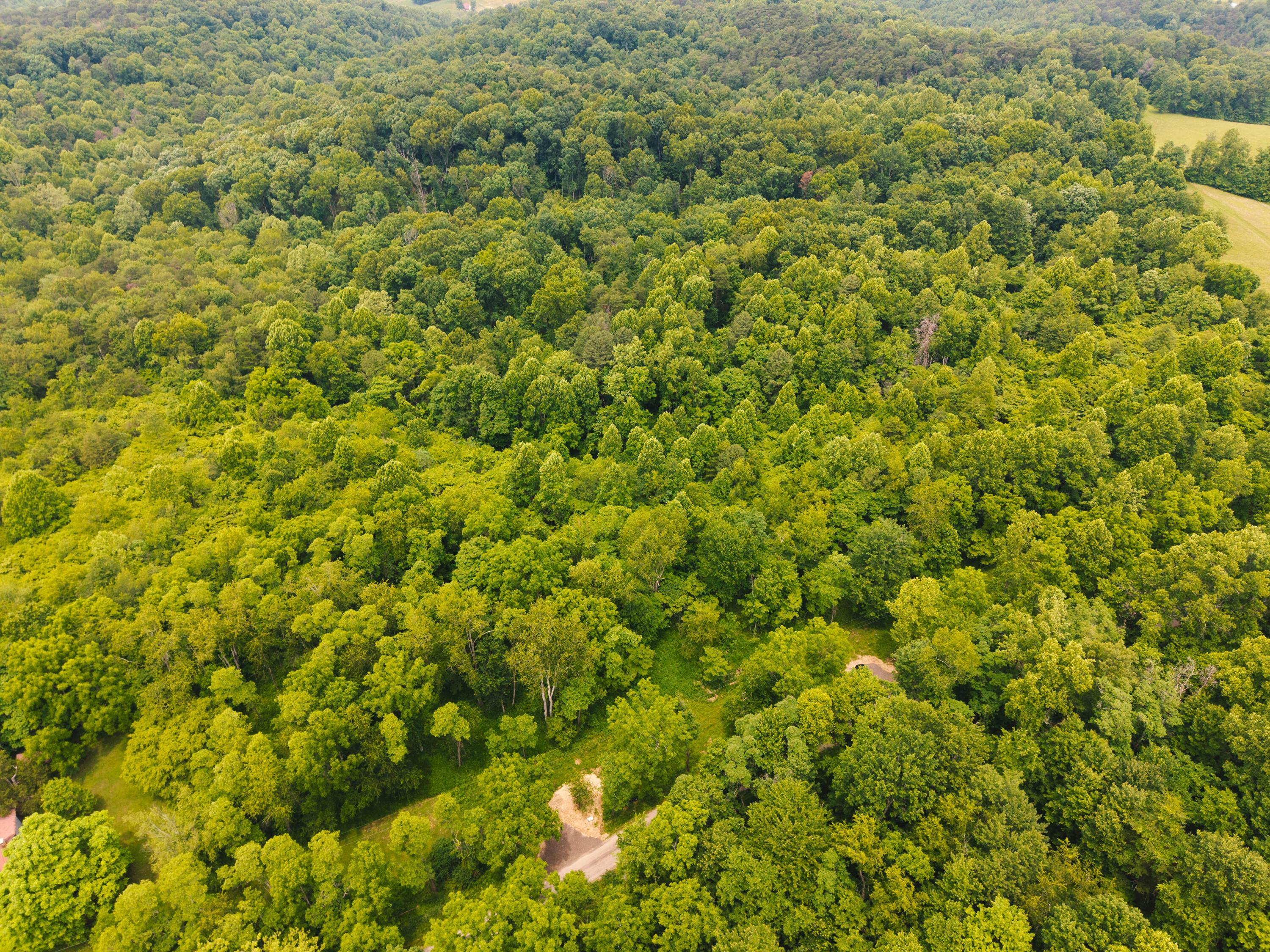 0 Unger Road, Unit LOT F Logan, OH 43138 - Photo 12 of 14