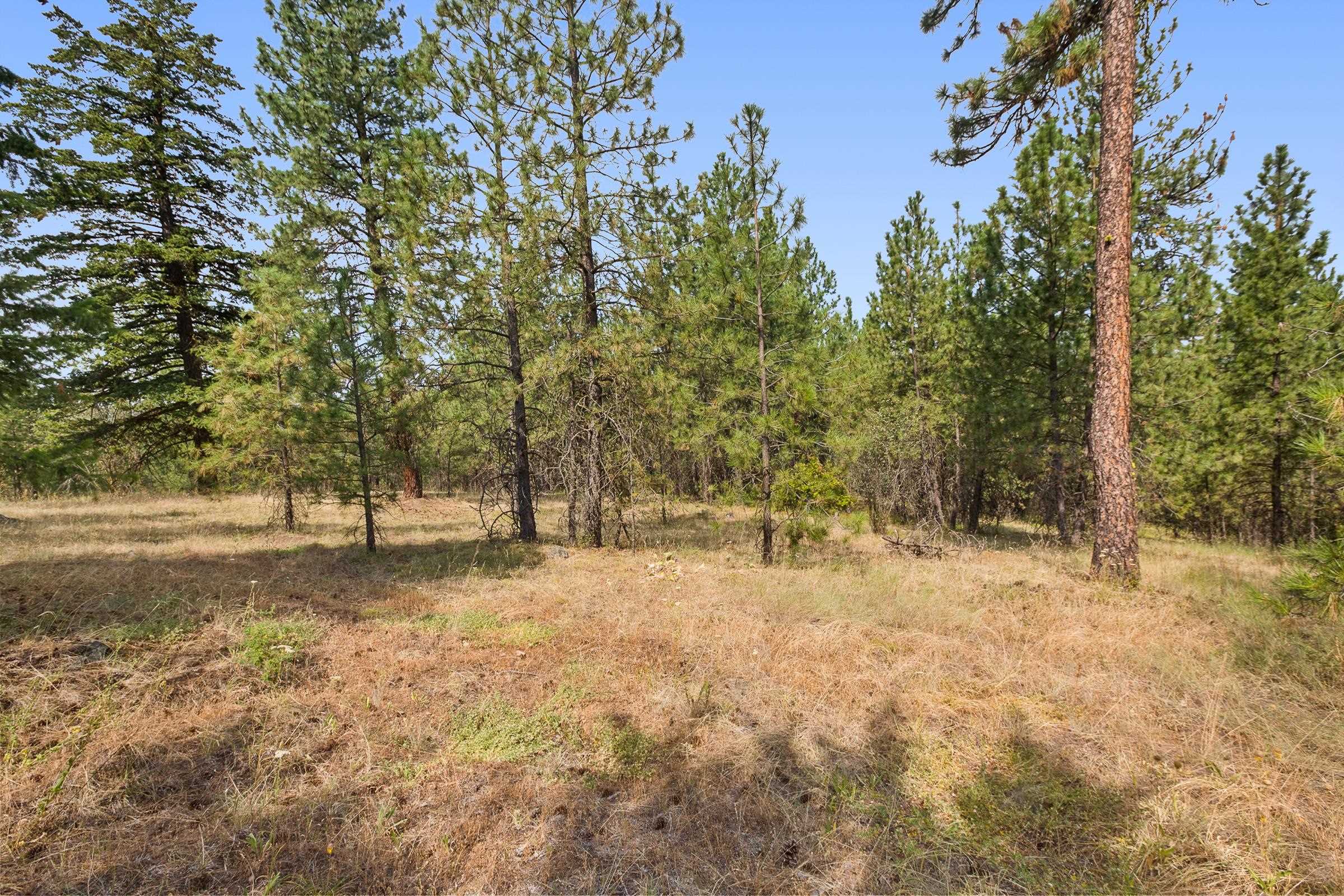 Nka North Monroe Road, Unit LOT 2 Spokane, WA 99208 - Photo 4 of 11 Gallery Image 4