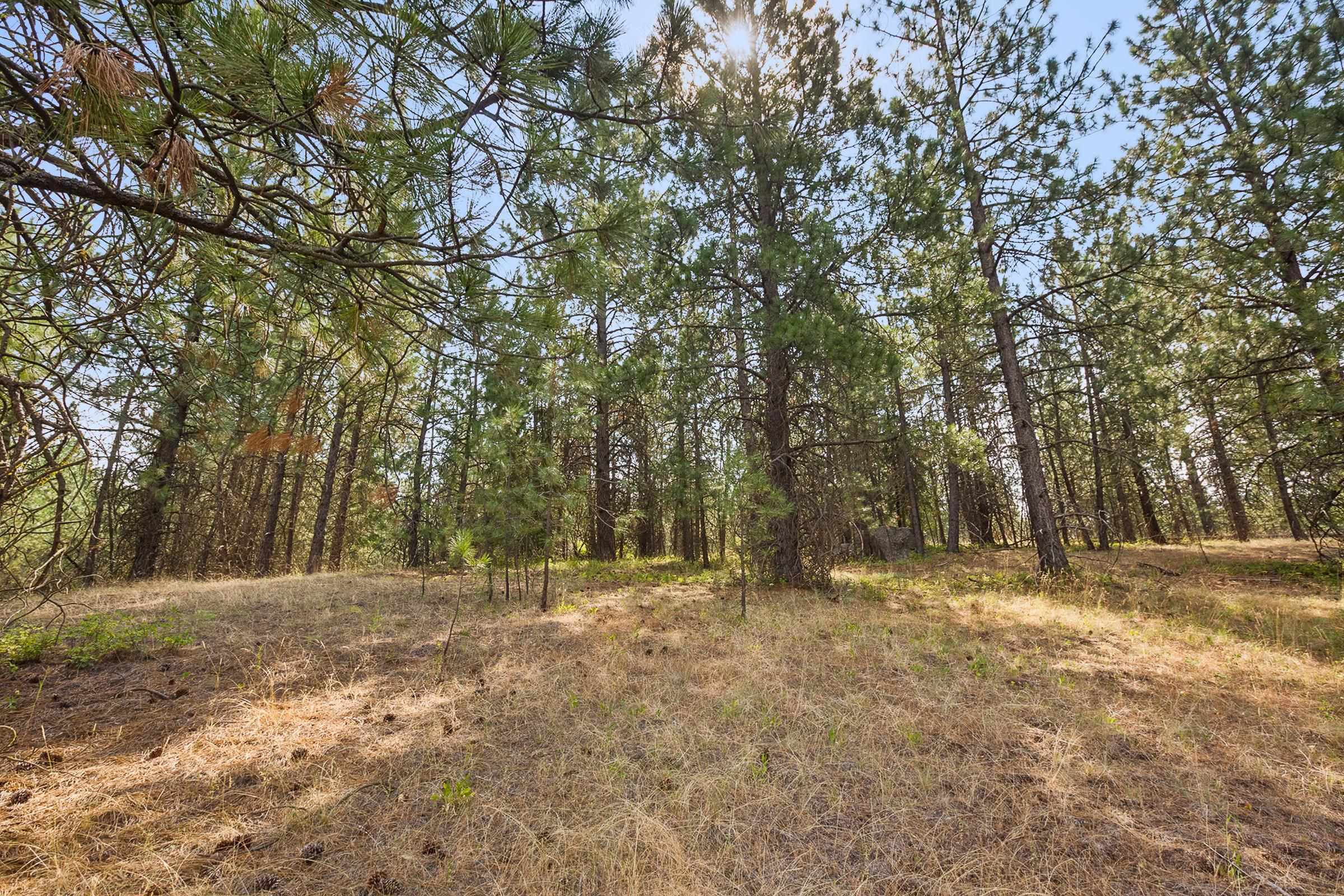 Nka North Monroe Road, Unit LOT 2 Spokane, WA 99208 - Photo 5 of 11 Gallery Image 5