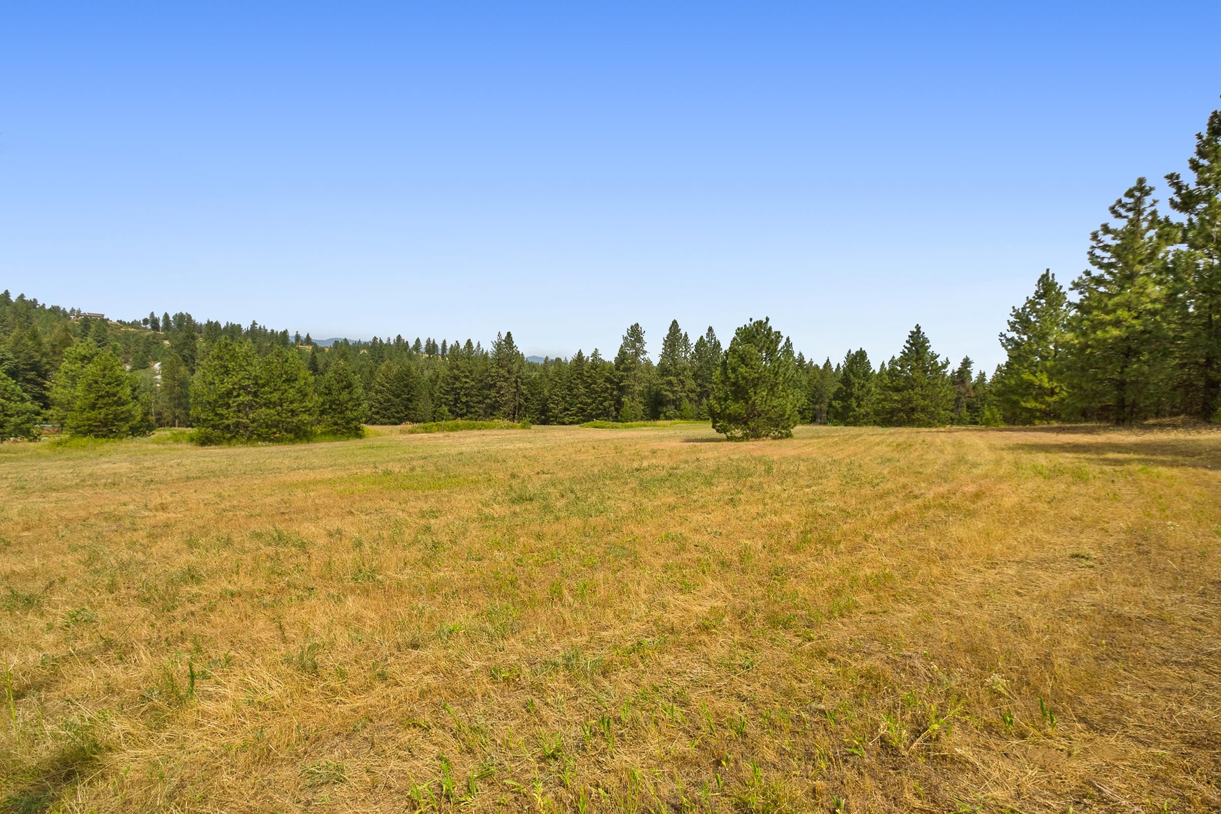 Nka North Monroe Road, Unit LOT 2 Spokane, WA 99208 - Photo 6 of 11 Gallery Image 6