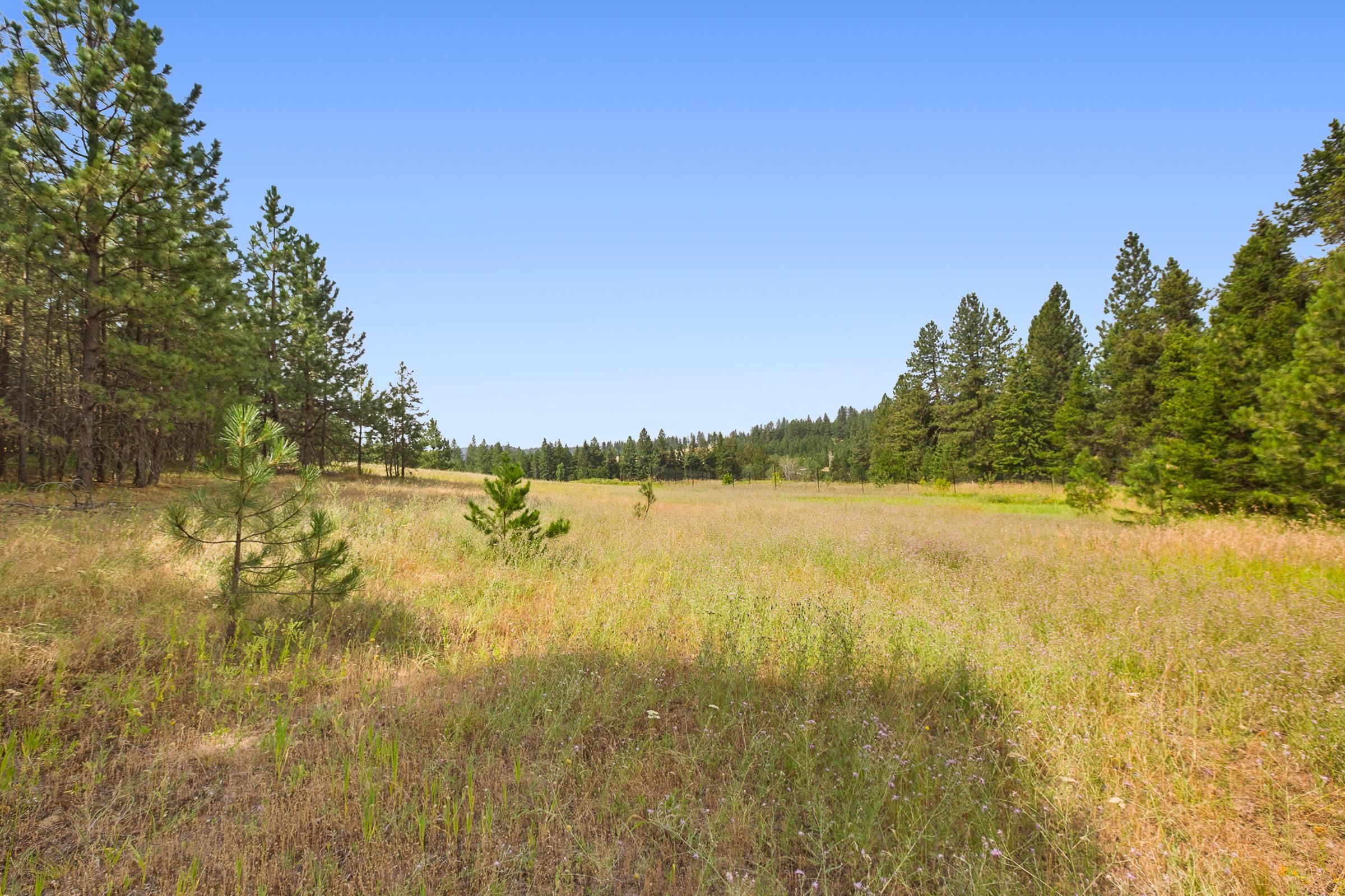 Nka North Monroe Road, Unit LOT 2 Spokane, WA 99208 - Photo 7 of 11 Gallery Image 7