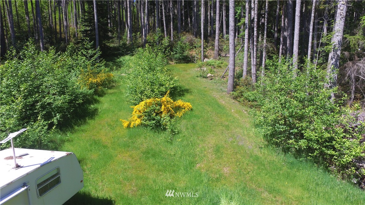 58 Point Whitney Road Brinnon, WA 98320 - Photo 2 of 9