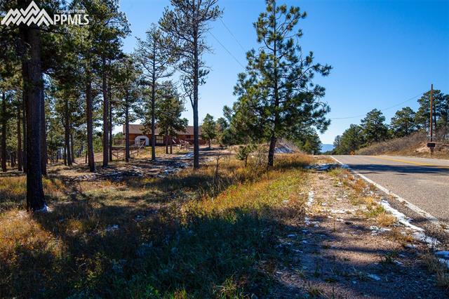 7955 Swan Road Colorado Springs, CO 80908 - Photo 24 of 34