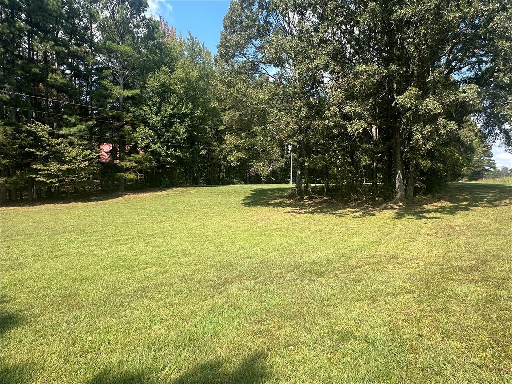 8275 Pea Ridge Road Cornelia, GA 30531 - Photo 40 of 52 a view of a yard with a tree