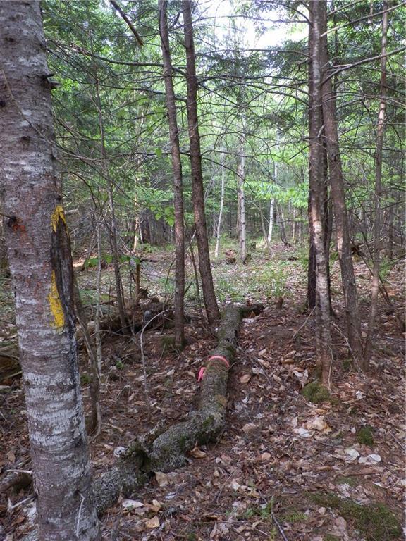 0 Bottle Lake Road Springfield, ME 04487 - Photo 3 of 25 Photo