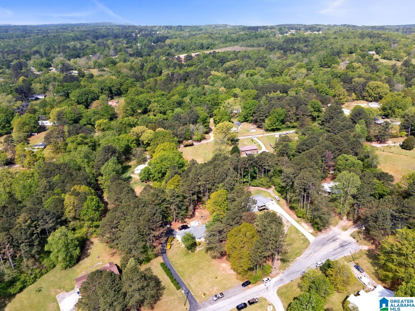135 Hayden Springs Road Hayden, AL 35079 - Photo 31 of 37