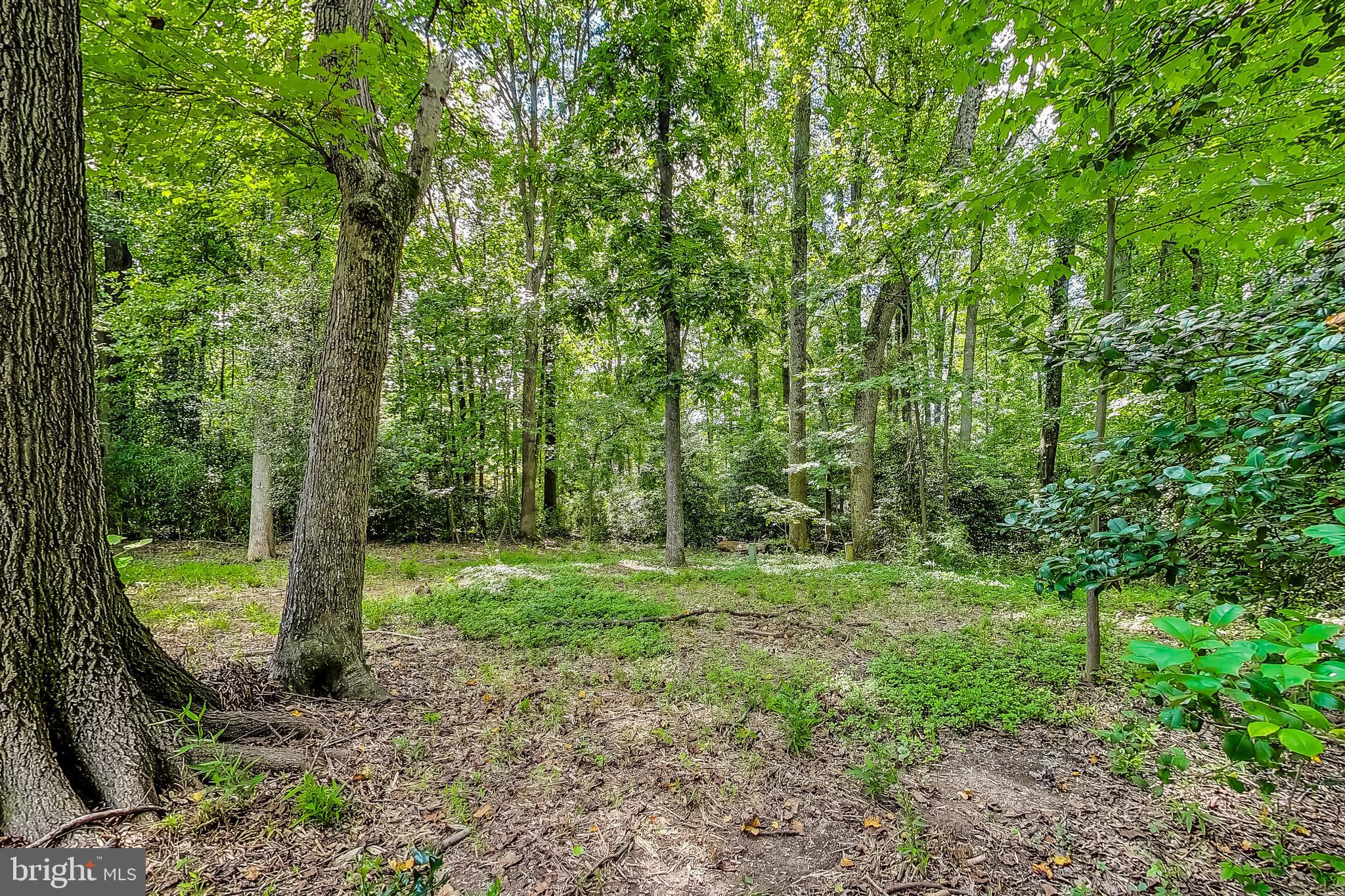 2452 Freetown Drive Reston, VA 20191 - Photo 54 of 69 Wooded Lot/Backyard