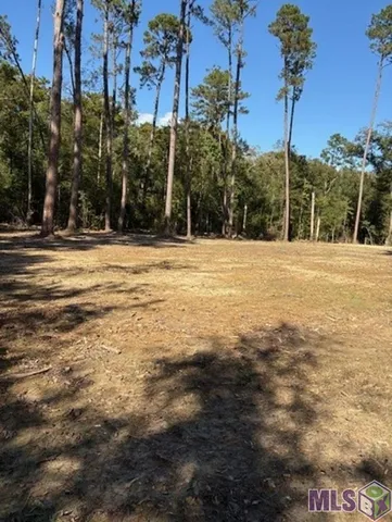 $27,000 | 24063 La Highway, Maurepas, LA 70449