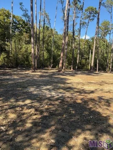 $27,000 | 24063 La Highway, Maurepas, LA 70449