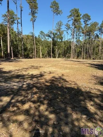 $27,000 | 24063 La Highway, Maurepas, LA 70449