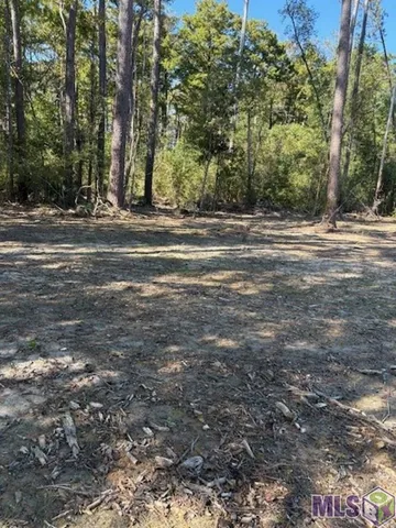 $27,000 | 24063 La Highway, Maurepas, LA 70449