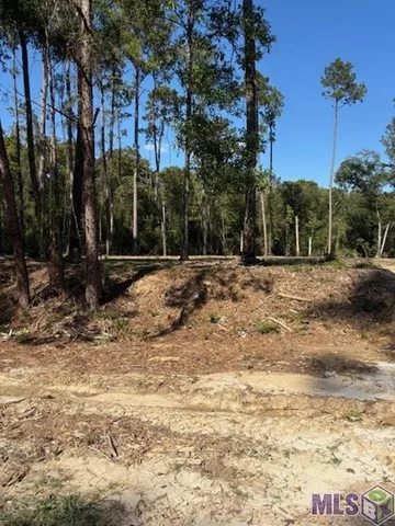 $27,000 | 24063 La Highway, Maurepas, LA 70449