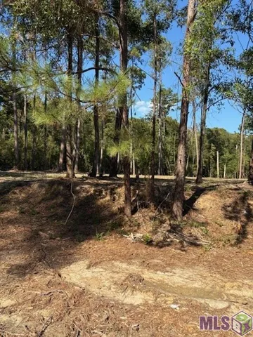 $27,000 | 24063 La Highway, Maurepas, LA 70449