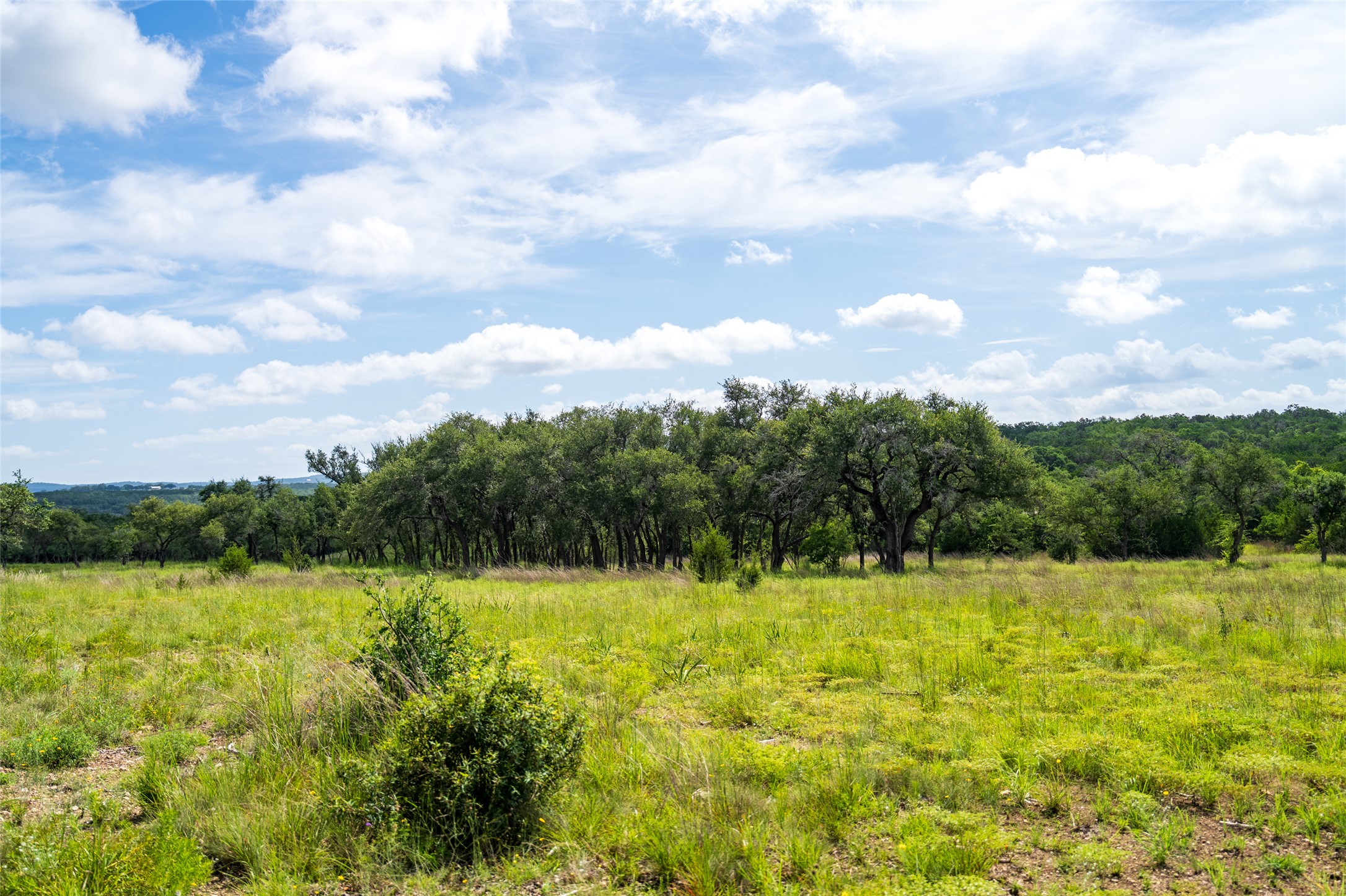 5 Pump Station Road Wimberley, TX 78676 - Photo 13 of 24 View of wooded area featuring a view of rural / pastoral area