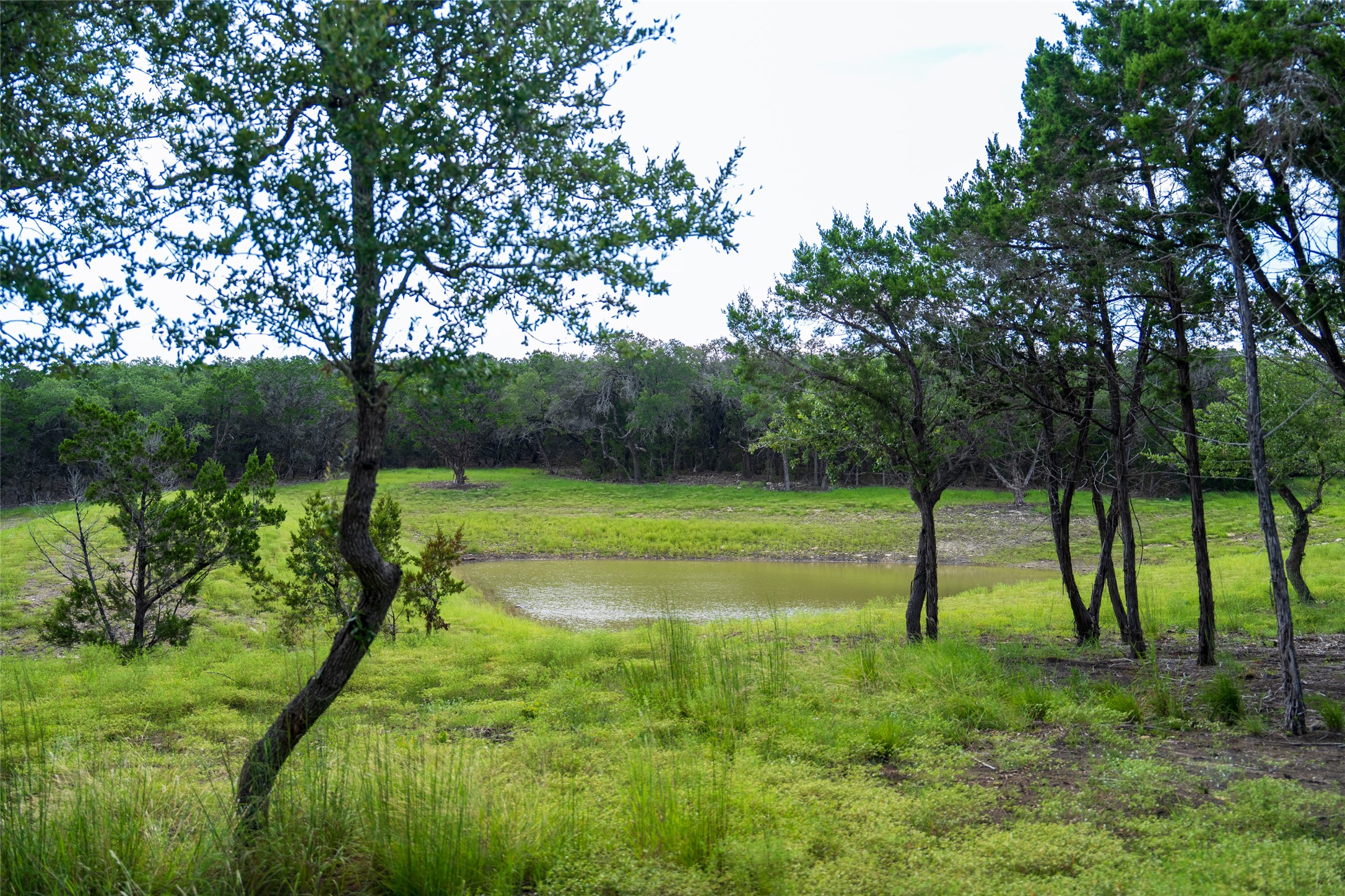 5 Pump Station Road Wimberley, TX 78676 - Photo 15 of 24 Water view featuring a heavily wooded area