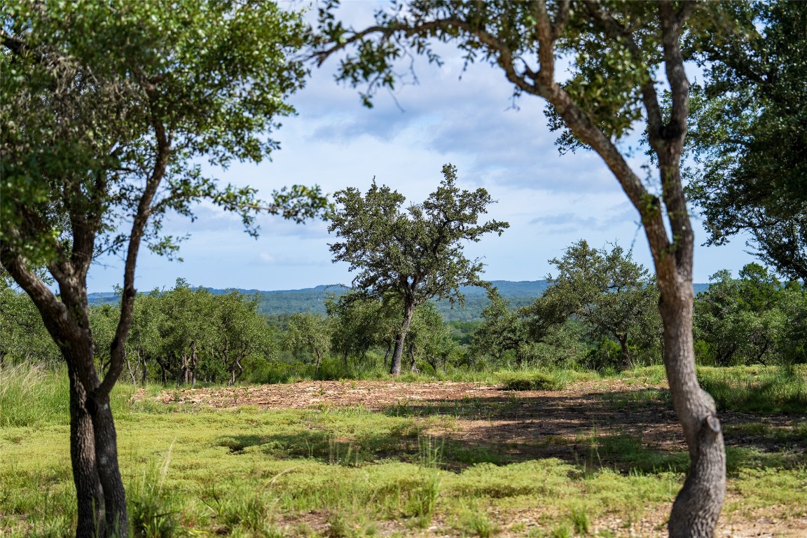 5 Pump Station Road Wimberley, TX 78676 - Photo 5 of 24 a view of a yard with a tree